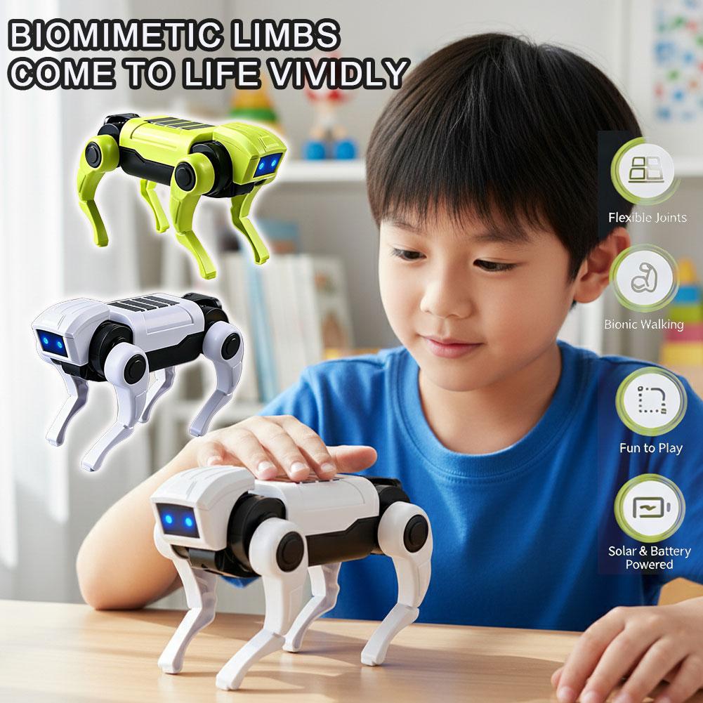 Diy Electronics For Kids - DIY Assembly RC Robot Dog Toy